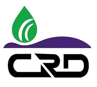红桥大豆种植灌溉方法