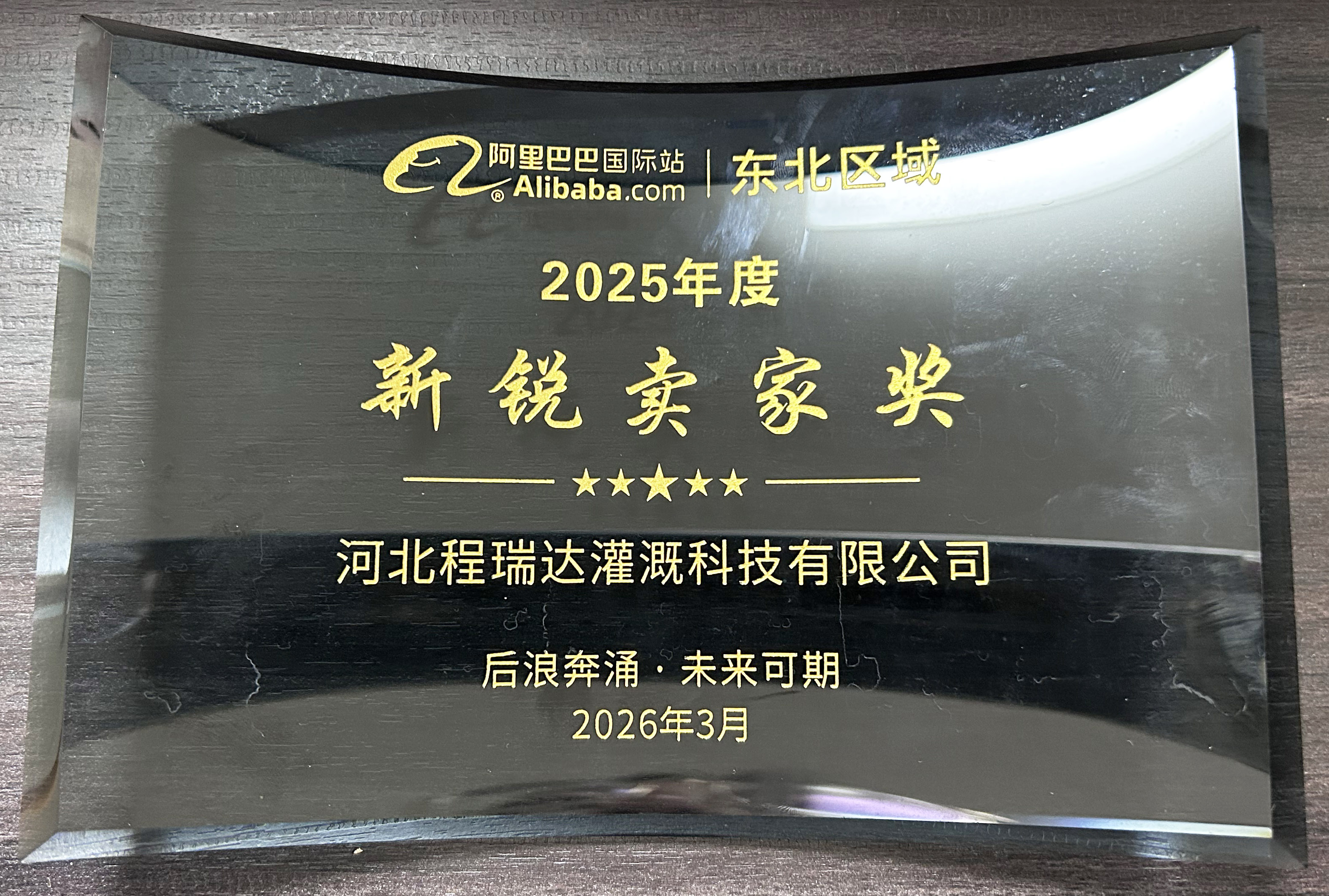 红桥程瑞达灌溉 | 荣获阿里国际站新锐卖家奖